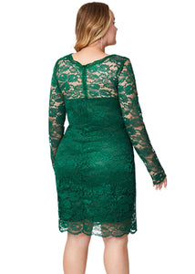 Organic Green O-Neck Lace Mid Dress Fall